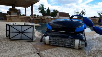 Dolphin Nautilus CC Plus Review