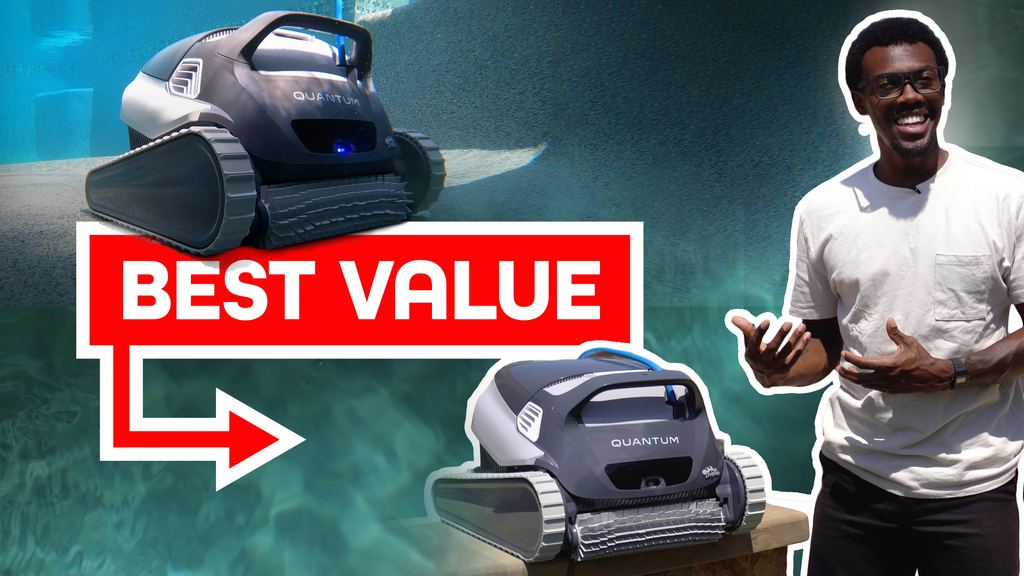 Dolphin Quantum Review