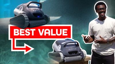 Dolphin Quantum Review