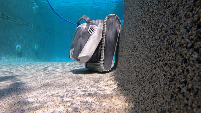 Dolphin Quantum Leaning Against Pebbletec Pool Wall Underwater