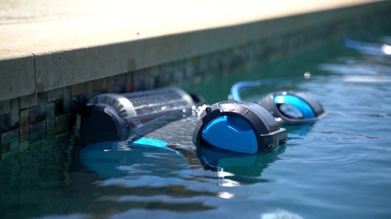 Dolphin Premier Partially Submerged Near Pool Edge