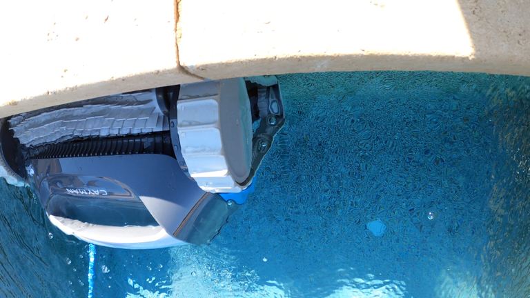Dolphin Cayman Robot At Pool Edge Underwater