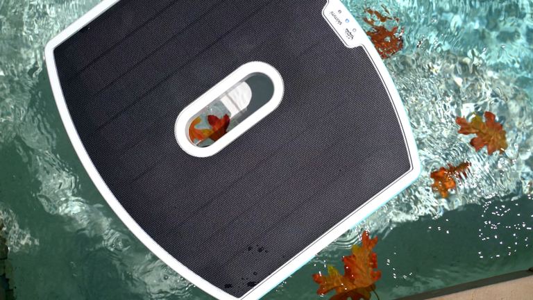 Dolphin Skimmi Floating Surface Collecting Autumn Leaves Topdown