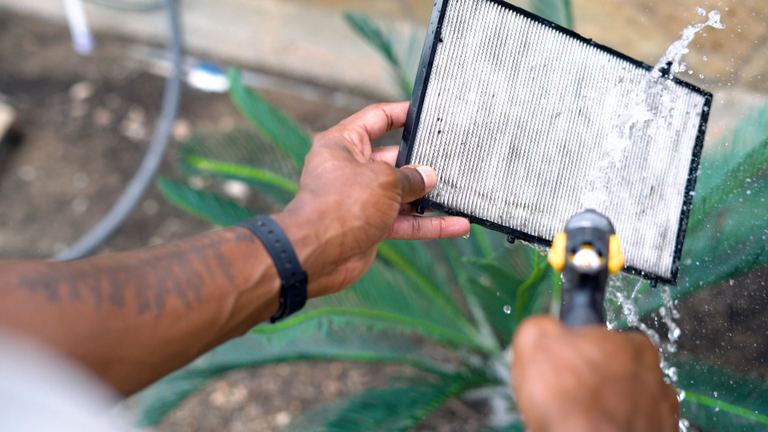 Dolphin Sigma Filter Cleaning Water Spraying Outdoor Tropical Plant