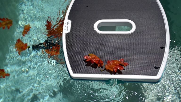 Dolphin Skimmi Floating Surface Collecting Orange Leaves Top Angle