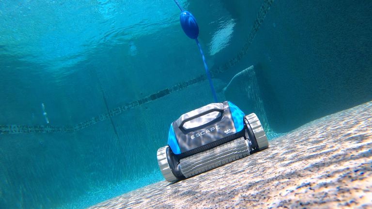 Dolphin Escape Underwater Cleaning Pool Floor Tiled Steps