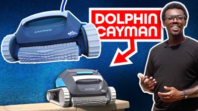 Dolphin Cayman Review