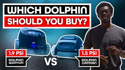 Dolphin Cayman vs Dolphin Quantum Pro