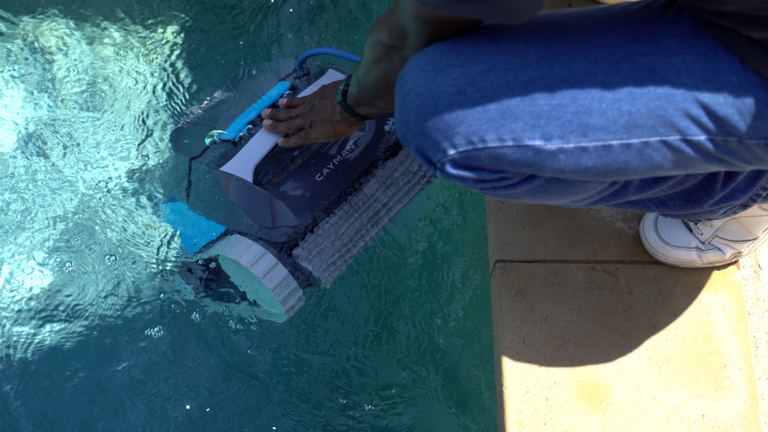 Dolphin Cayman Lowered Into Pool By Human Hand